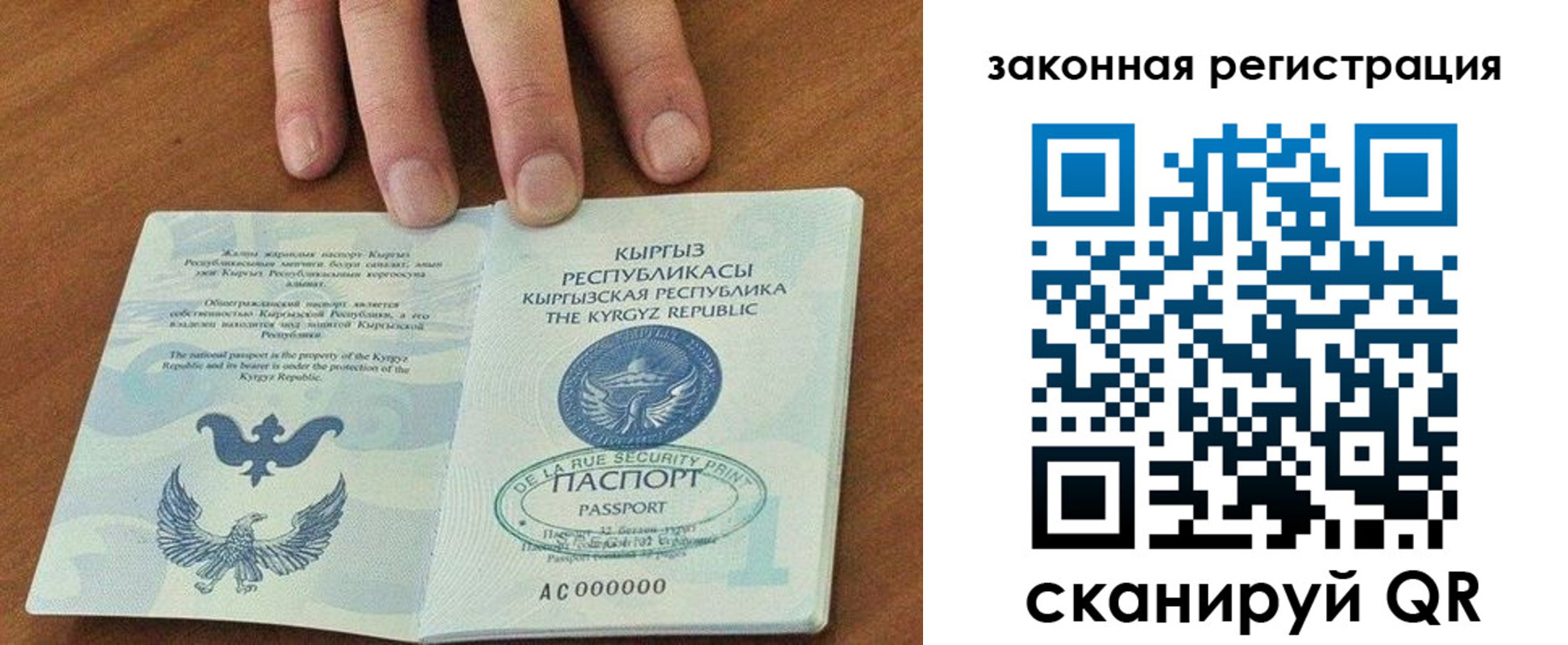 пропишу в квартире в Светлогорске