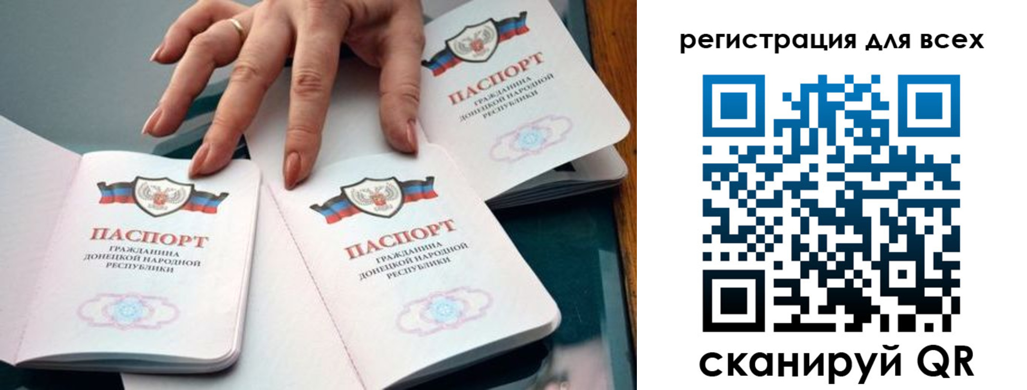 прописка поиск в Светлогорске